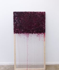 Emily Nelson