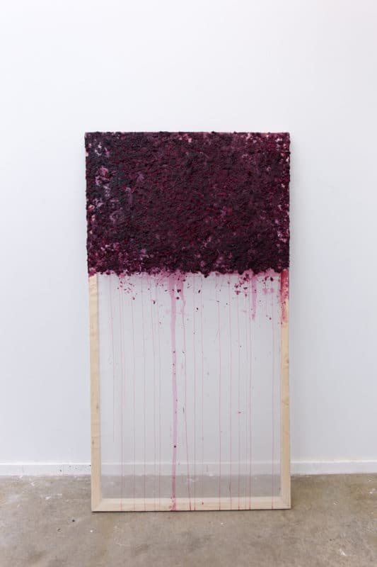 Emily Nelson