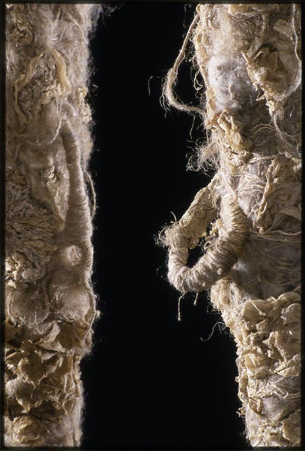 Leah Golberstein - Image 6