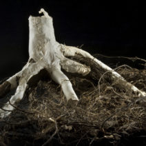 Leah Golberstein - Image 8