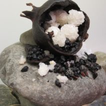 Leah Golberstein - Image 7