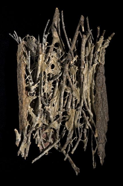 Leah Golberstein - Image 5