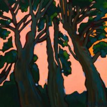 Amy Pleasant