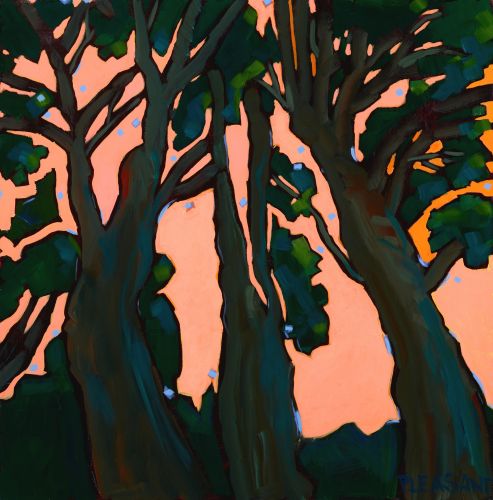 Amy Pleasant