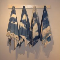 Laura Phelps Rogers
