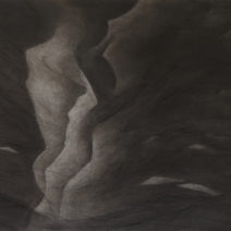 Corinne D. Peterson