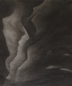 Corinne D. Peterson