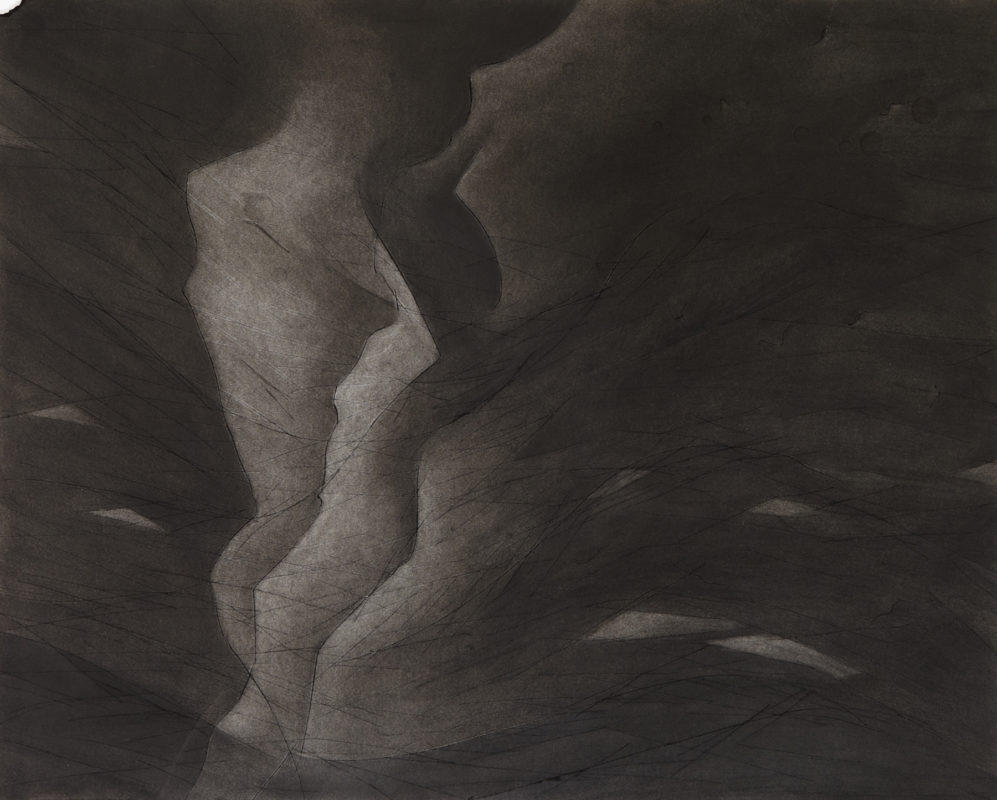 Corinne D. Peterson