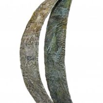 Alicia Forestall-Boehm