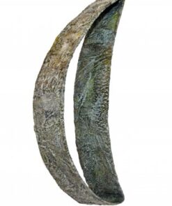 Alicia Forestall-Boehm