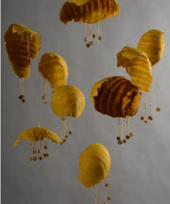 Laura LeBreton