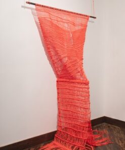 Jesse Harrod