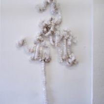 Noël Morical