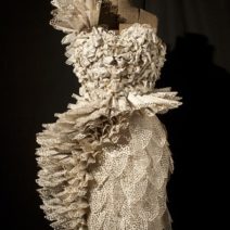 Carrie Schumacher