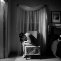 Jennifer Moore