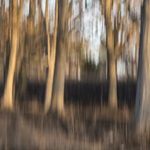 Fleeting Moments