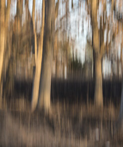 Fleeting Moments