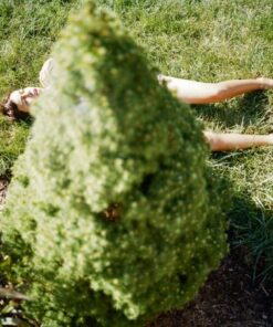 Julie Jones