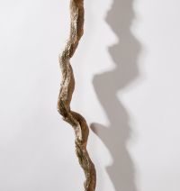 Kimberly Callas