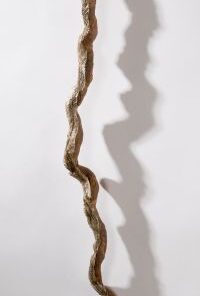 Kimberly Callas