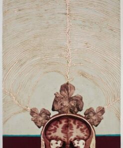 Katherine Sherwood