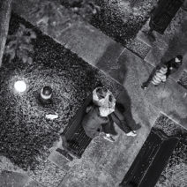 Robin Tryloff - Image 7
