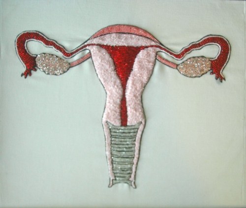 Exquisite Uterus Project Pieces - Image 11