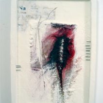 Clare Murray Adams