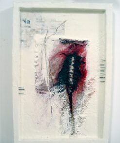 Clare Murray Adams