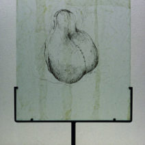 Cheri Reif Naselli