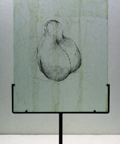 Cheri Reif Naselli