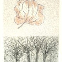 Sharon Bourke