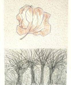 Sharon Bourke