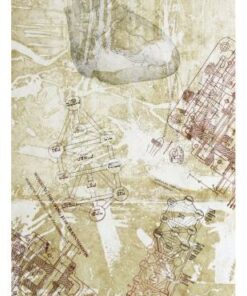 Louise Bloom