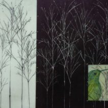 Gretchen Morrissey