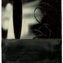 Michelle Marcuse