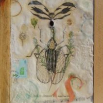 Rosemary Luckett