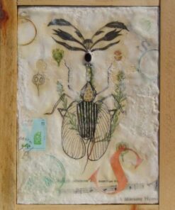 Rosemary Luckett