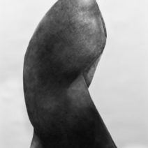 Elizabeth Mead