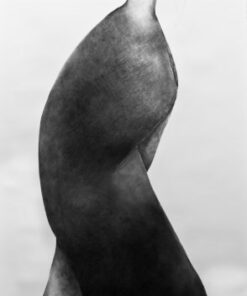 Elizabeth Mead
