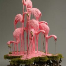 Sarah Knouse
