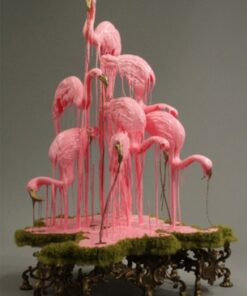 Sarah Knouse