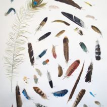 Missy Dunaway