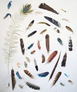 Missy Dunaway
