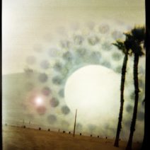 Linda Alterwitz