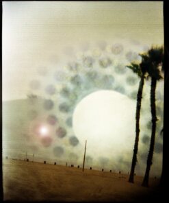 Linda Alterwitz