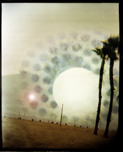 Linda Alterwitz