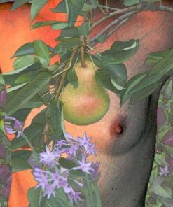 Betsy Dollar