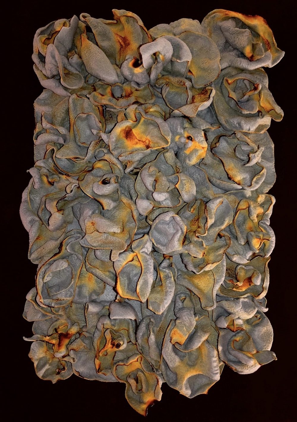 Star Trauth - Image 4