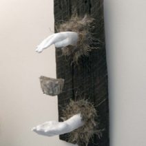 Ruth G. Sikes - Image 3